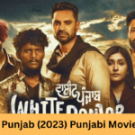 White Punjab